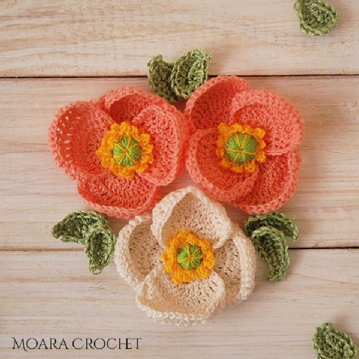 Free Crochet Poppy Flower Pattern