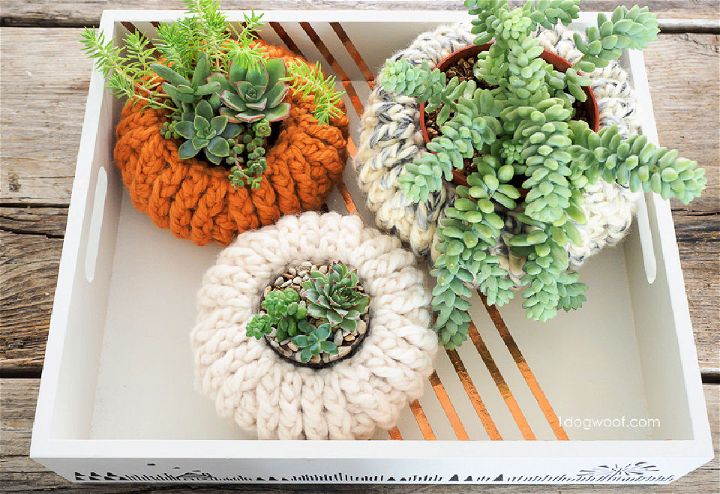 Beautiful Crochet Succulent Pumpkin Planter Pattern