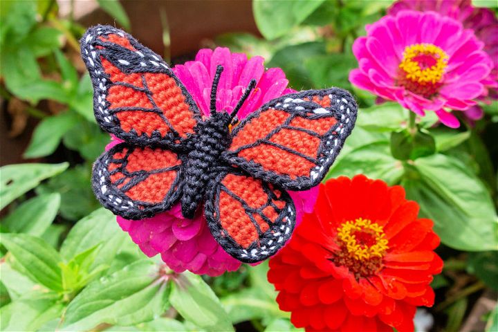 How to Crochet Monarch Butterfly Free Pattern