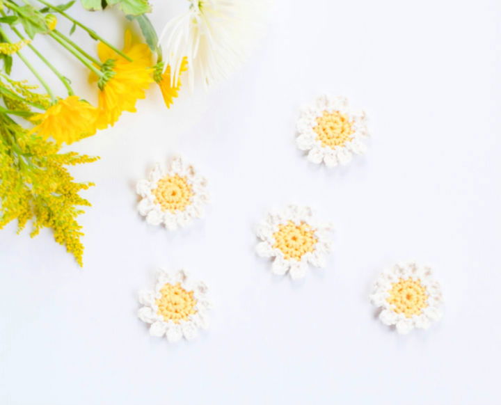 Crocheting Sweet Daisies - Free Pattern