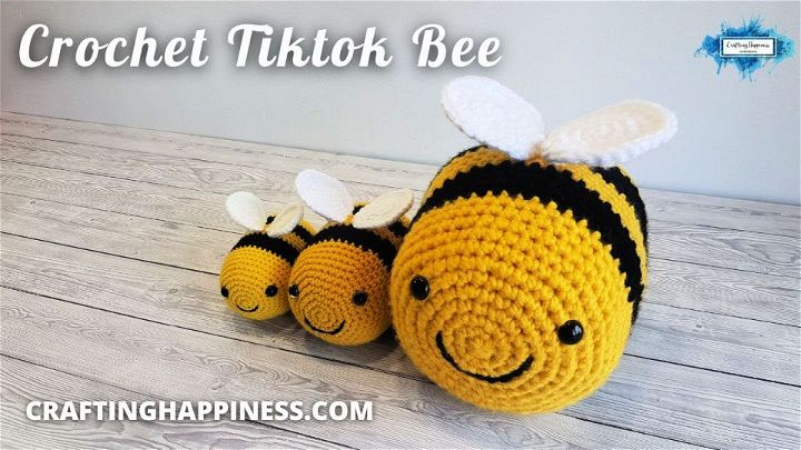 Tik Tok Inspired Crochet Bee Pattern
