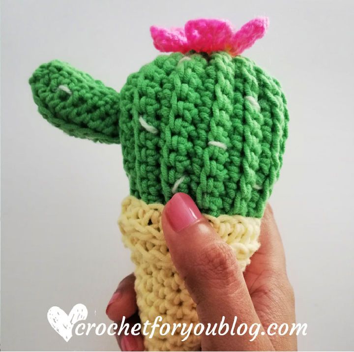 Adorable Crochet Cactus Ice Cream Cone Idea
