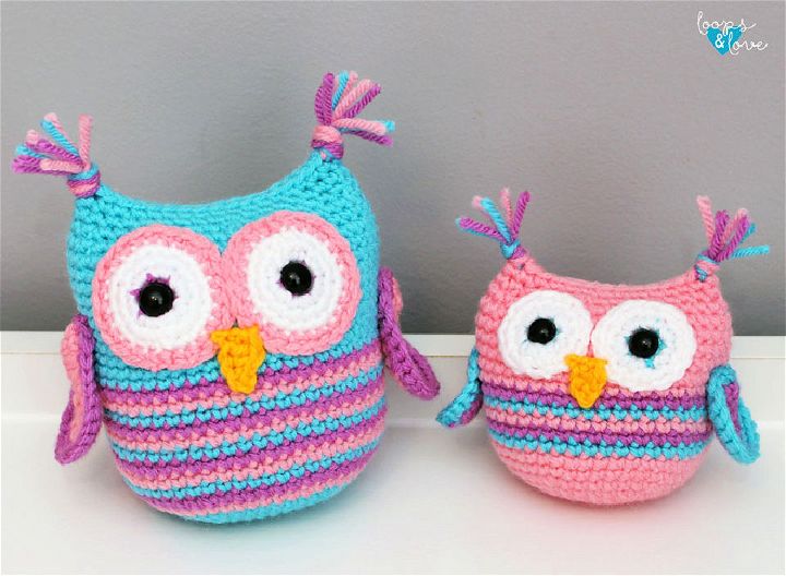 Adorable Crochet Owl Amigurumi Idea