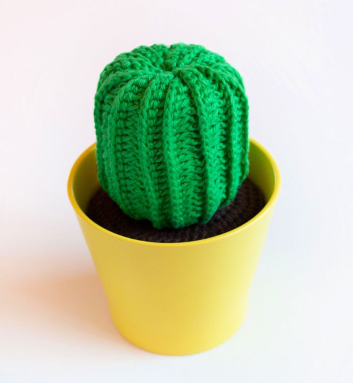 Beautiful Crochet Cactus Pattern