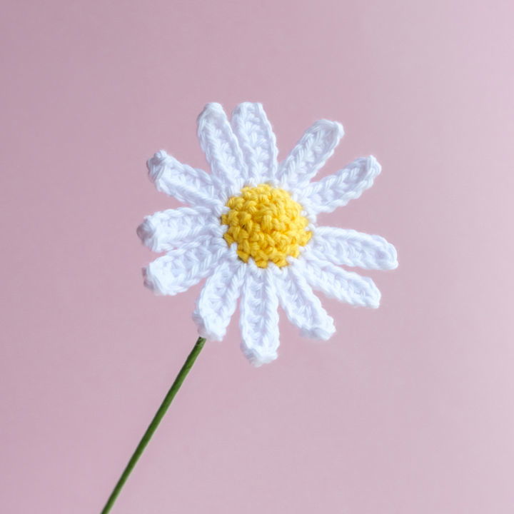 Beautiful Crochet Daisy Flower Pattern