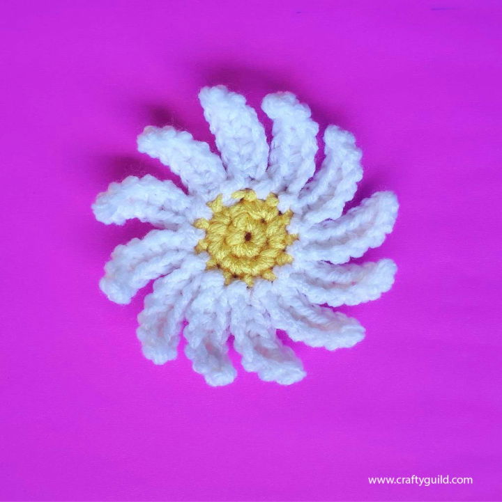 Best Daisies Crochet Pattern