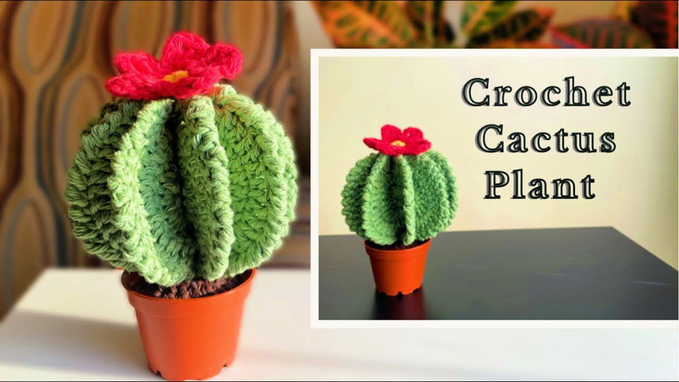 Crochet Kit Cactus 2 Pink Flower, Make Your Own Cacti of Many Colors,  Crochet Project, Gift for Crocheter 