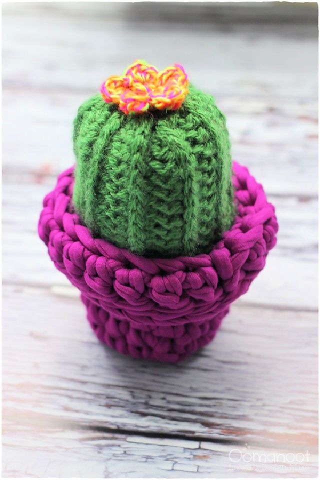 Cool Crochet Camel Stitch Cactus Pattern