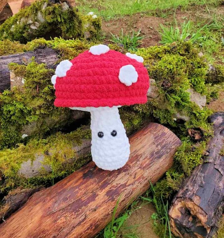 Cool Crochet Mushroom Pattern