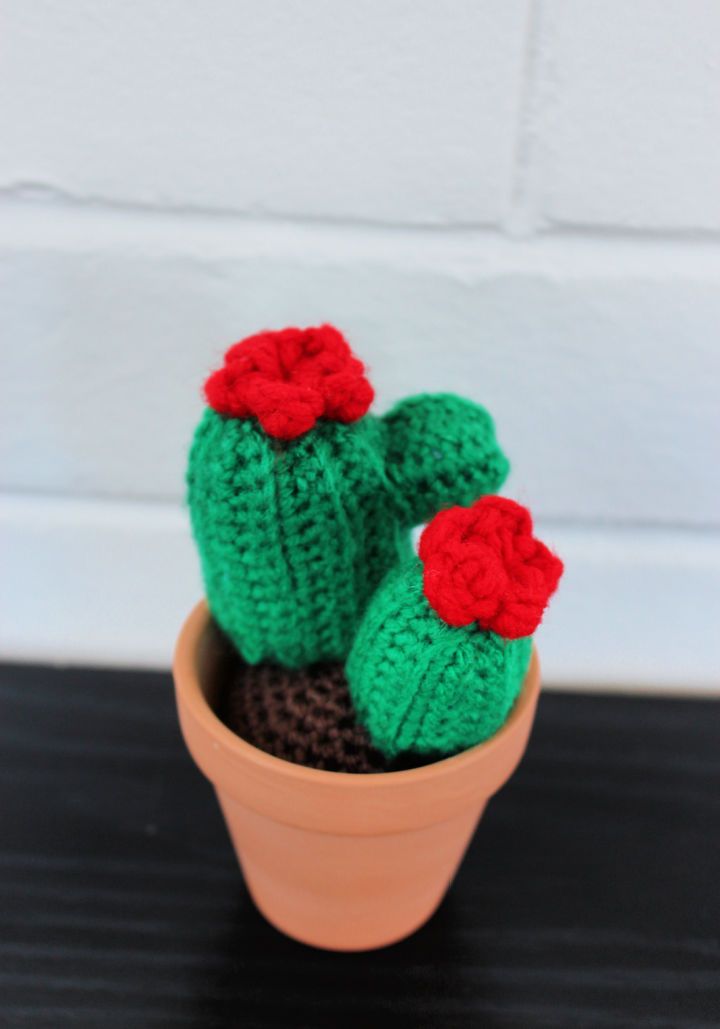Crochet Easy Little Cactus - Free PDF Pattern