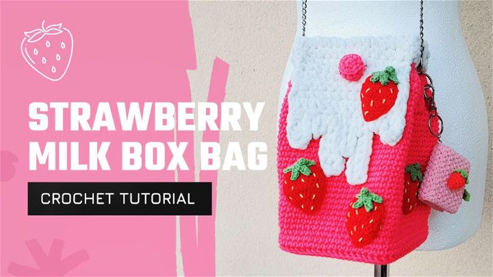 Cute Crochet Strawberry Milk Box Bag Pattern