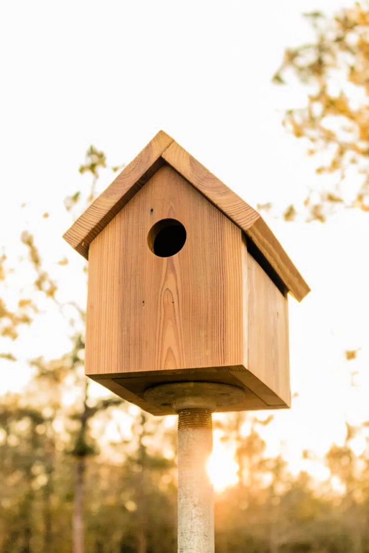 Homemade Birdhouse on a Budget
