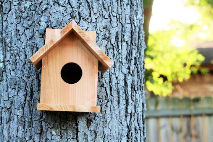 Build a Birdhouse from One Cedar Fence Picket