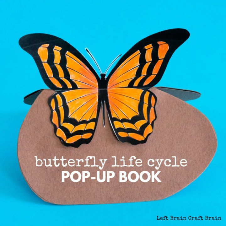 DIY Butterfly Life Cycle Pop-Up Book