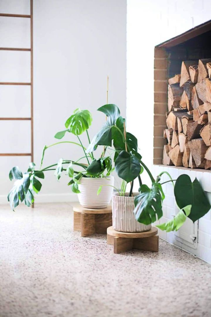 Modern DIY Wooden Plant Stands
