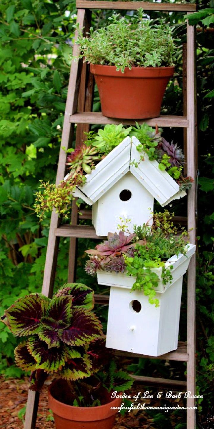 Easy DIY Greenroof Birdhouse