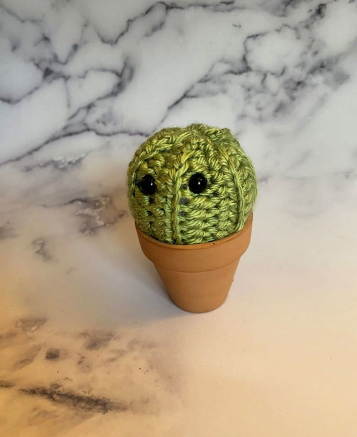 Easiest Mini Cactus to Crochet