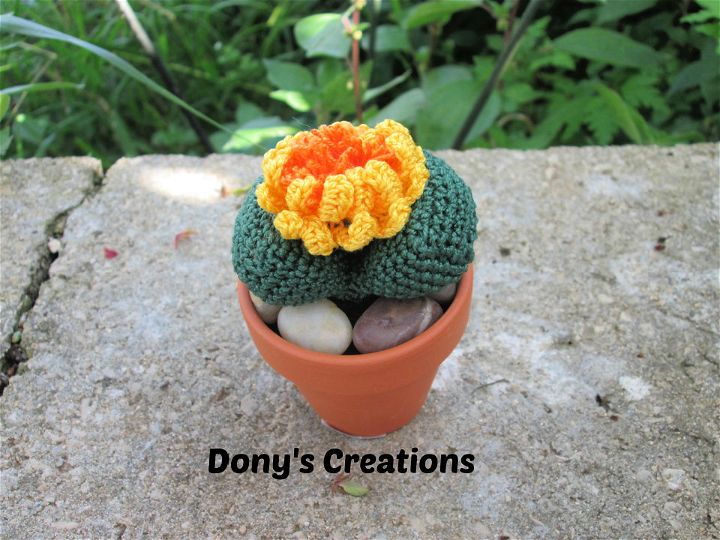 Easy Crochet Cactus Tutorial