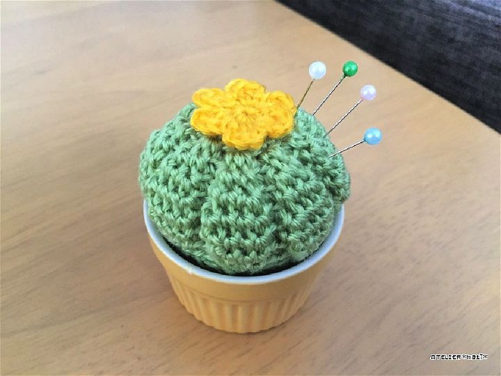 Free Cactus Pincushion Crochet Pattern for Beginners