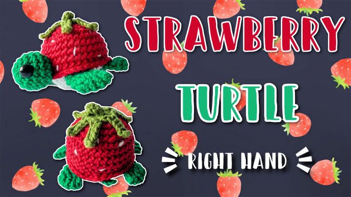 Free Crochet Amigurumi Strawberry Turtle Pattern