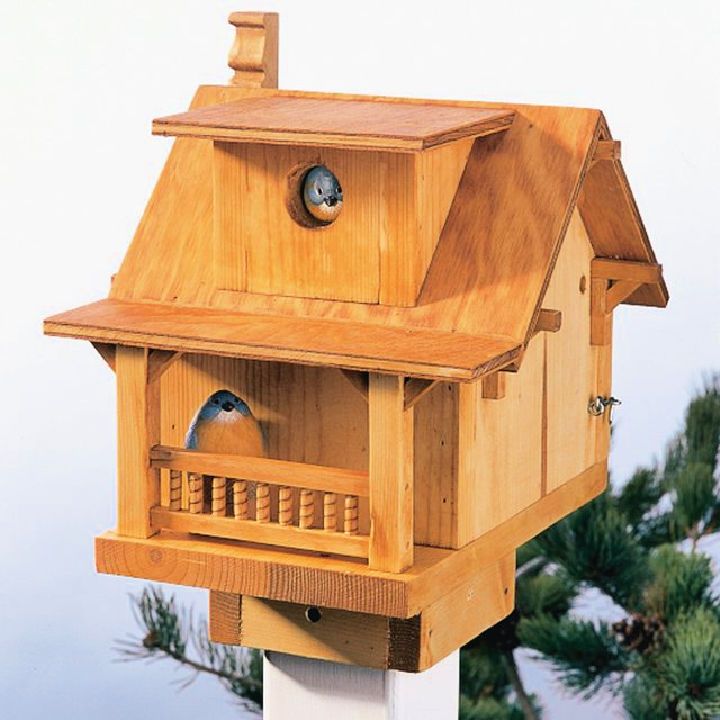 Build Your Home-Themed Birdhouse