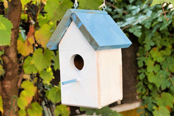 How to Build a Bird House