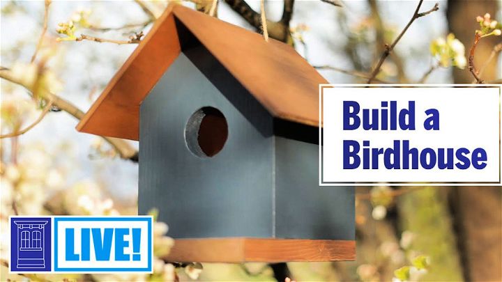 Building a Birdhouse - Simple Woodworking Project