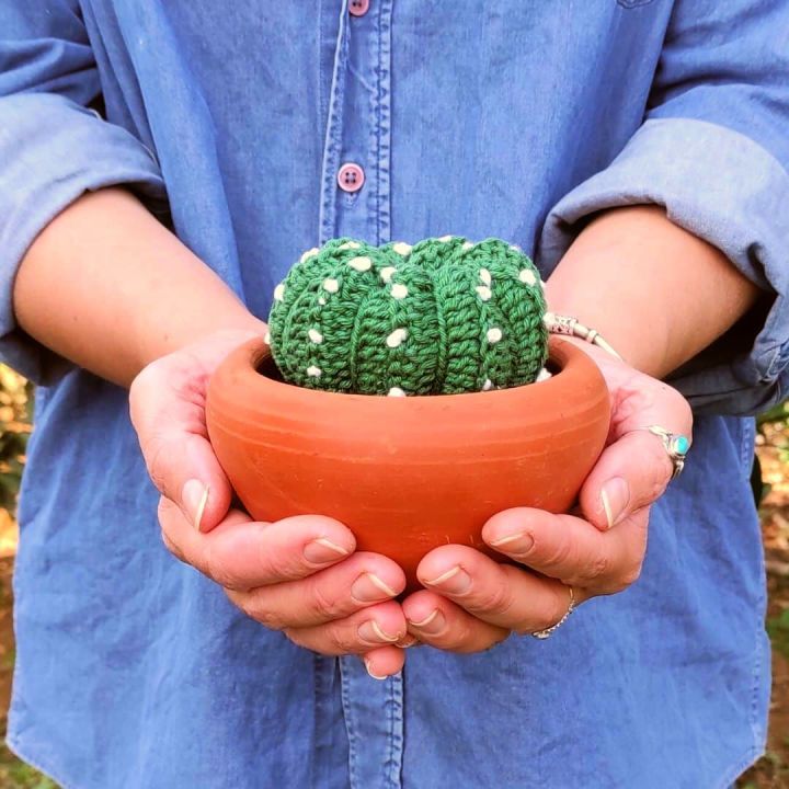 How to Crochet Cactus Amigurumi - Free Pattern