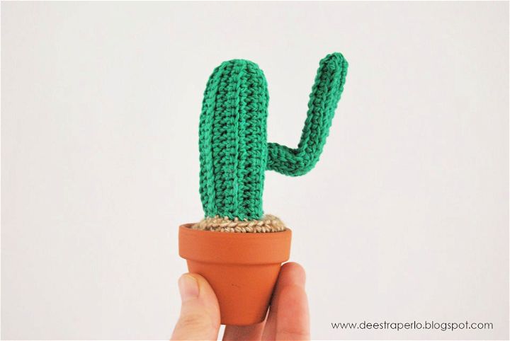 How to Crochet Cactus - Free Pattern