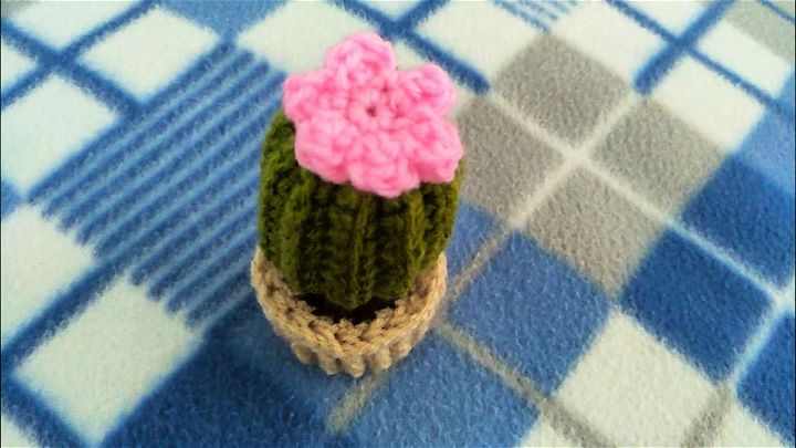 How to Crochet Cactus and Flower Pot