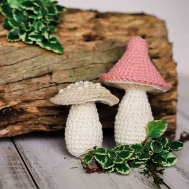 How to Make Mushroom - Free Crochet Pattern