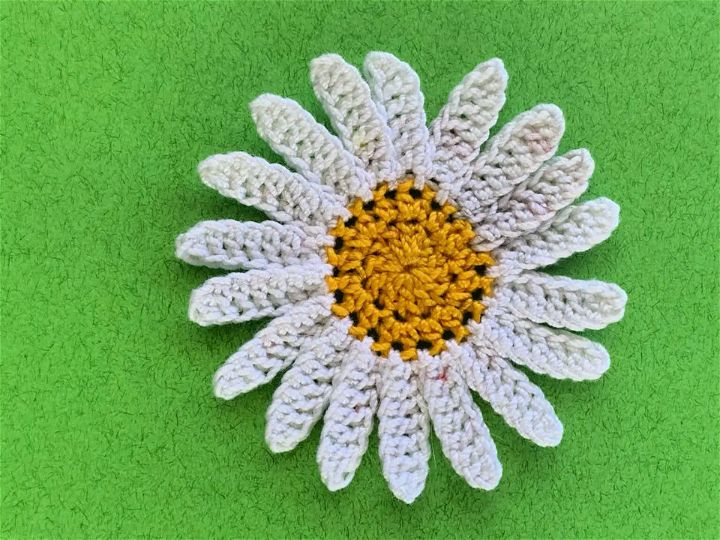 Modern Crochet Daisy Flower Pattern