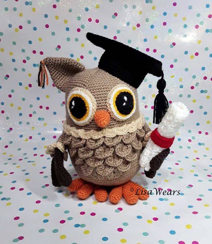 Modern Crochet Wisdom the Graduation Owl Pattern