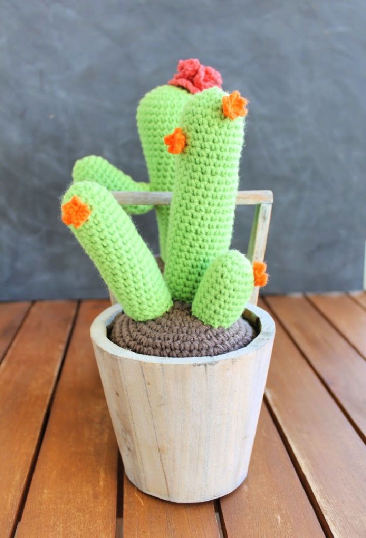 Simple Crochet Cactus Pattern