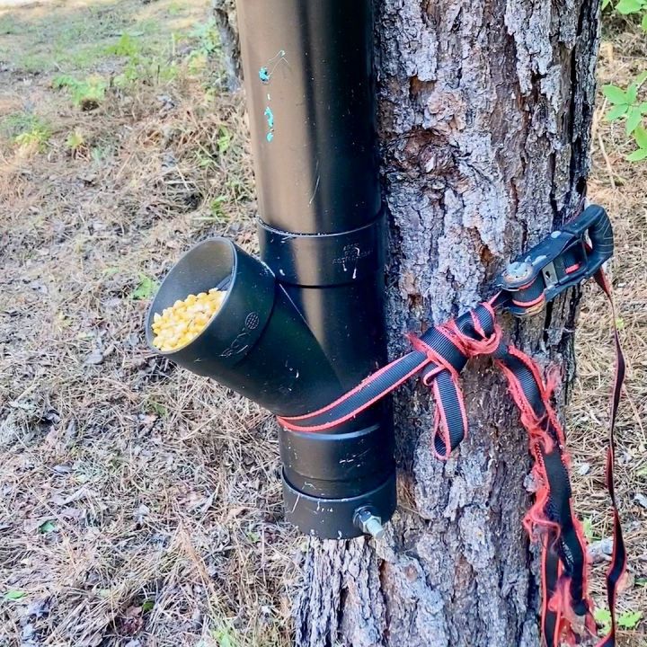 Build a Gravity Deer Feeder on the Cheap