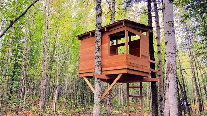 Modern DIY Kid's Treehouse