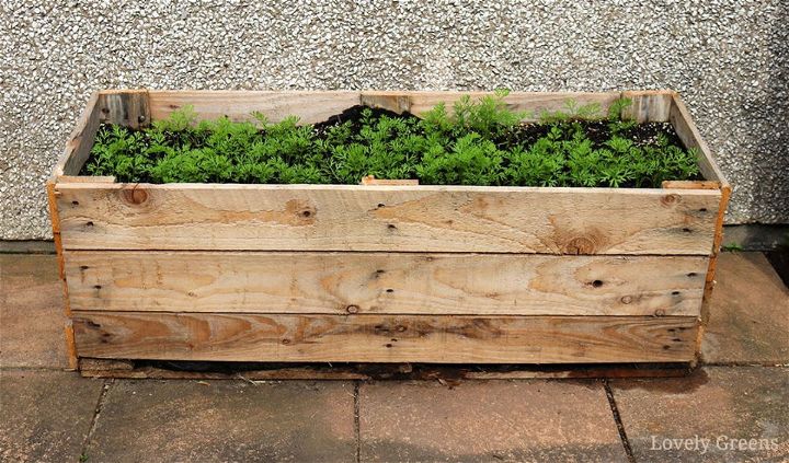Build a Pallet Planter in 5 Easy Steps