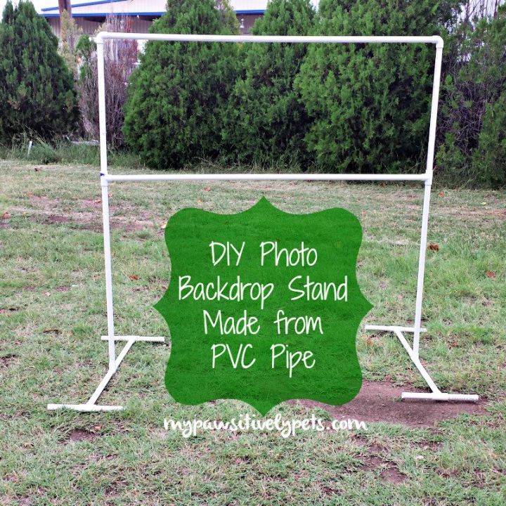 Photo Backdrop Stand Idea for Pets