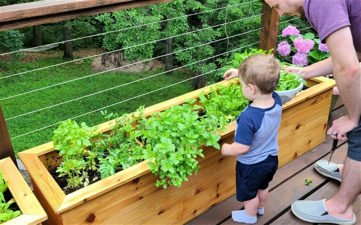 Make Your Own Planter Box at Home