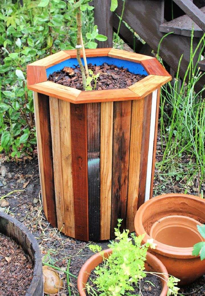 Stylish and Low Cost 55 Gallon Drum Planters