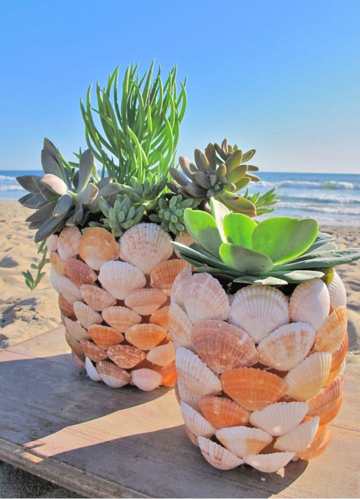 Seashell Planter Craft for Adults