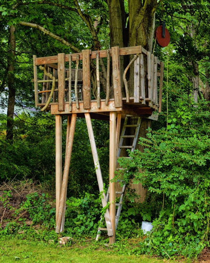 Design a Treehouse Online for Free