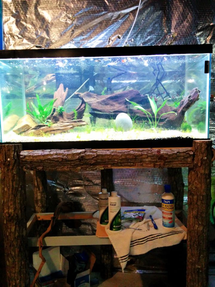 Homemade Fish Tank Stand on a Budget