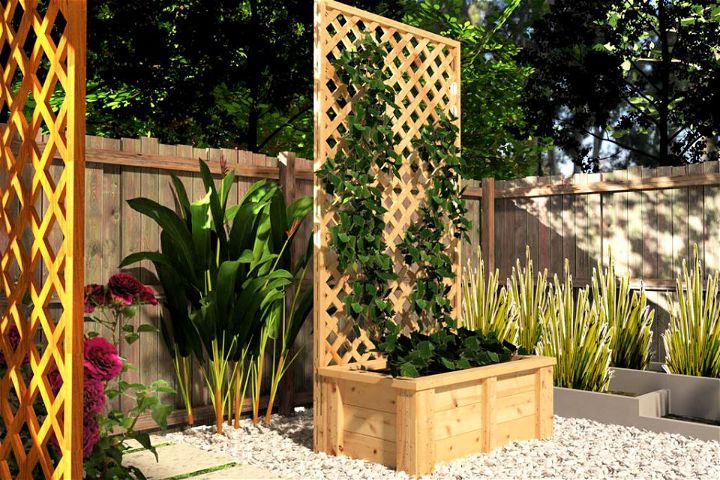 How to Build a Planter Box With Trellis