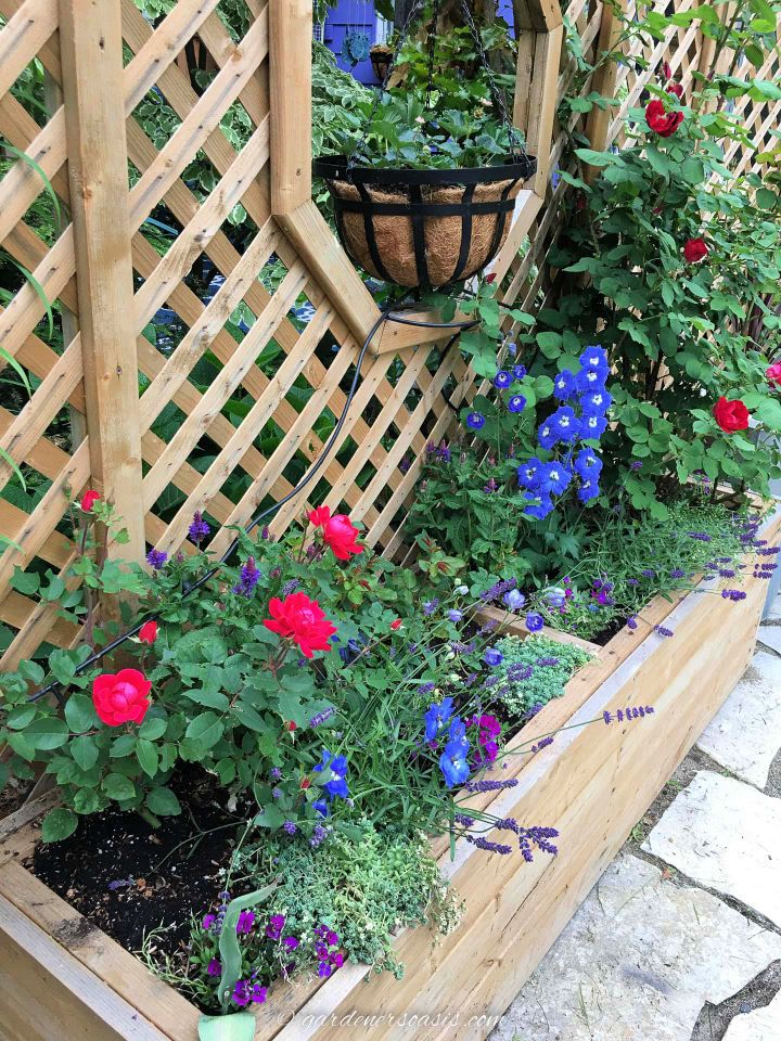 Build a Large Planter Box Using Wood