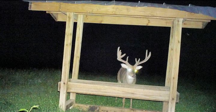 Build a Trough Style Deer Feeder