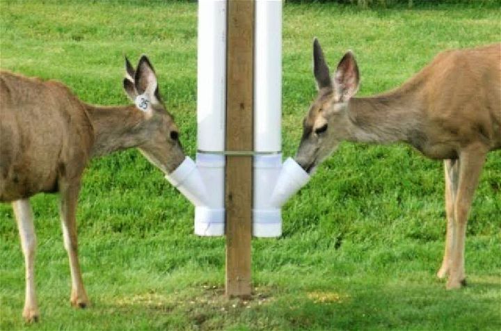 Inexpensive DIY Deer Feeder
