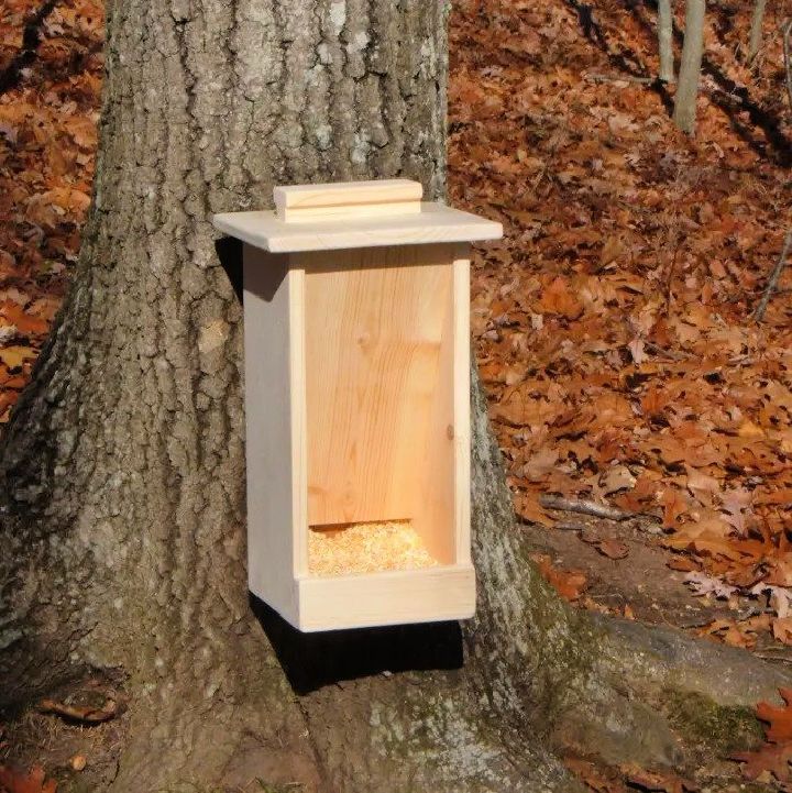 Making a Deer Feeder Out of Wood