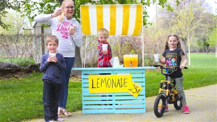 35 Homemade DIY Lemonade Stand Ideas You Can Build