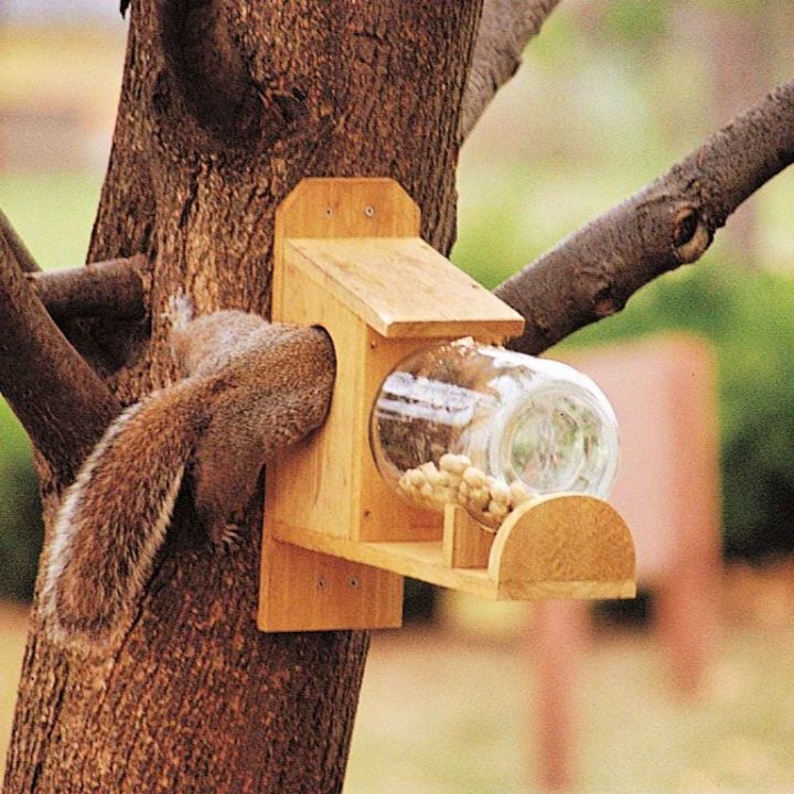 How to Make a Squirrel Feeder
